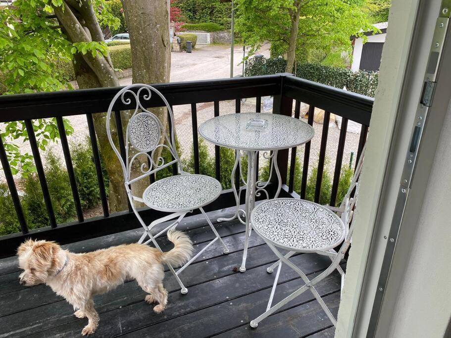Ferienwohnung Thalia Berg am Starnberger See Eksteriør billede